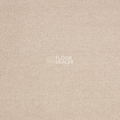 Ковролин AW Sentiment 34 фото 1 | FLOORDEALER